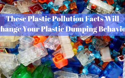 These Plastic Pollution Facts Will Change Your Plastic Dumping Behavior