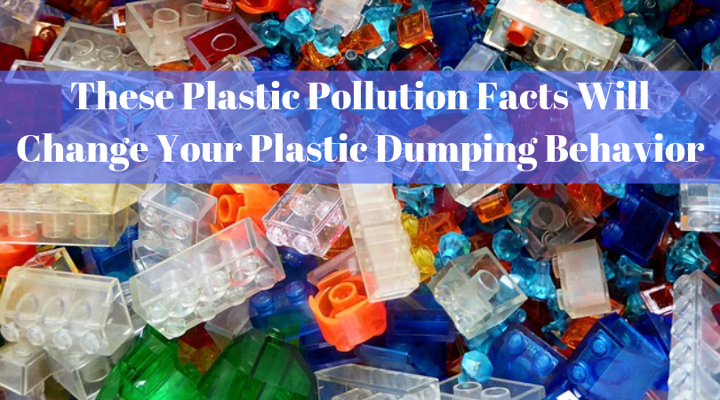 These Plastic Pollution Facts Will Change Your Plastic Dumping Behavior