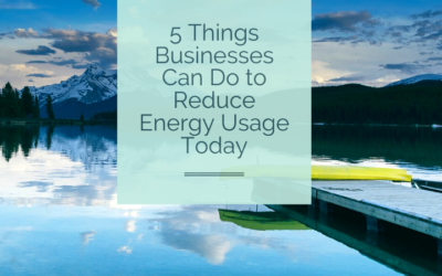 5 Things Businesses Can Do to Reduce Energy Usage Today