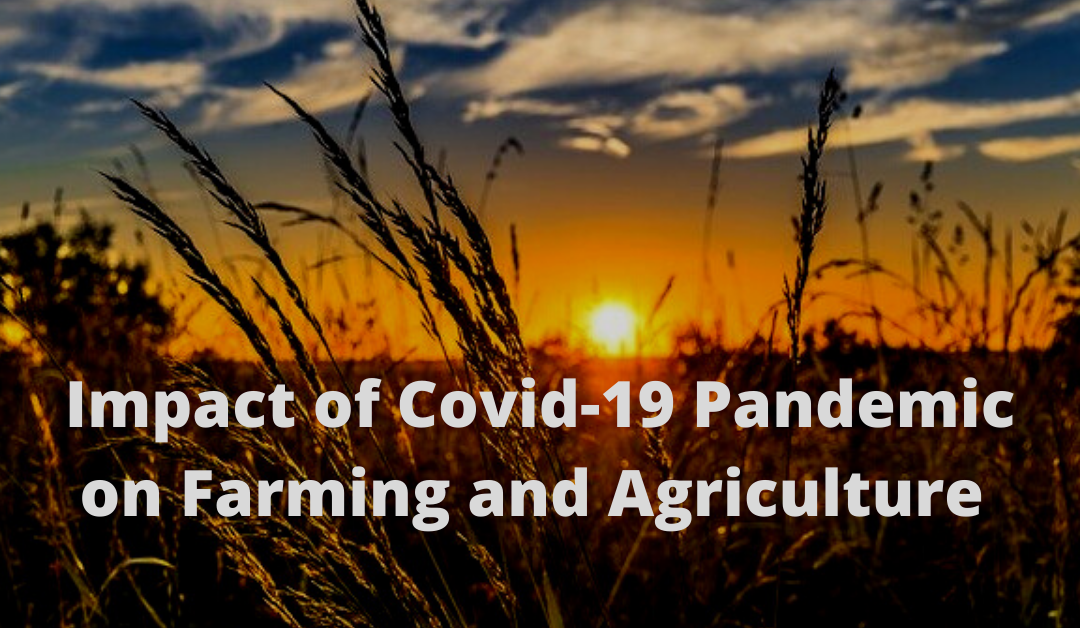 Impact of COVID-19 Pandemic on Farming and Agriculture