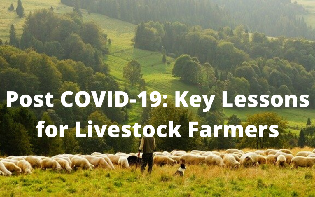 Post COVID-19: Key Lessons for Livestock Farmers