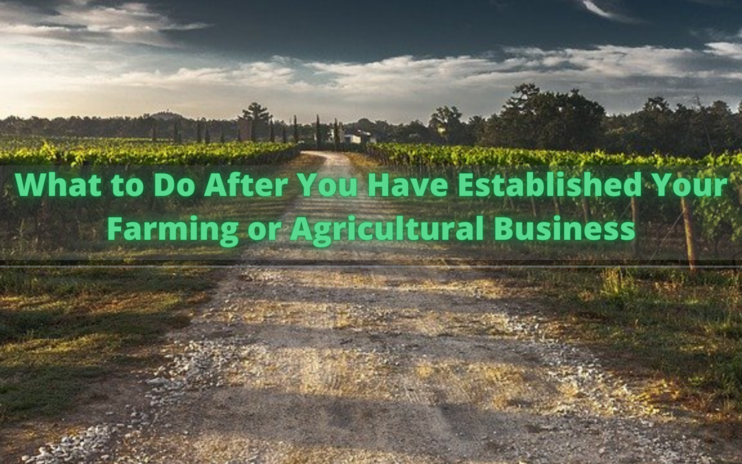 What to Do After You Have Established Your Farming or Agricultural Business