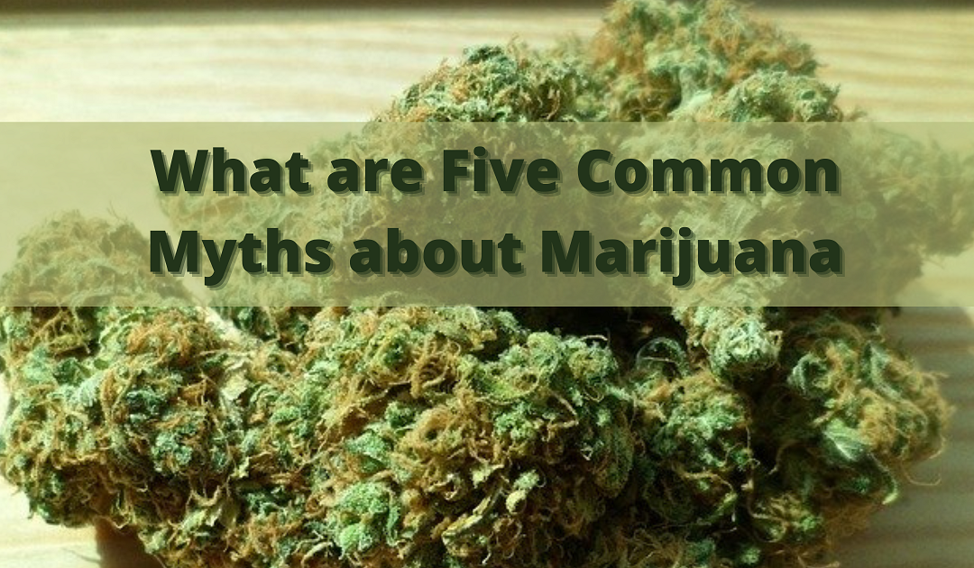 What are Five Common Myths about Marijuana