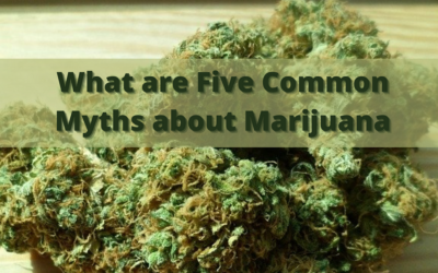 What are Five Common Myths about Marijuana