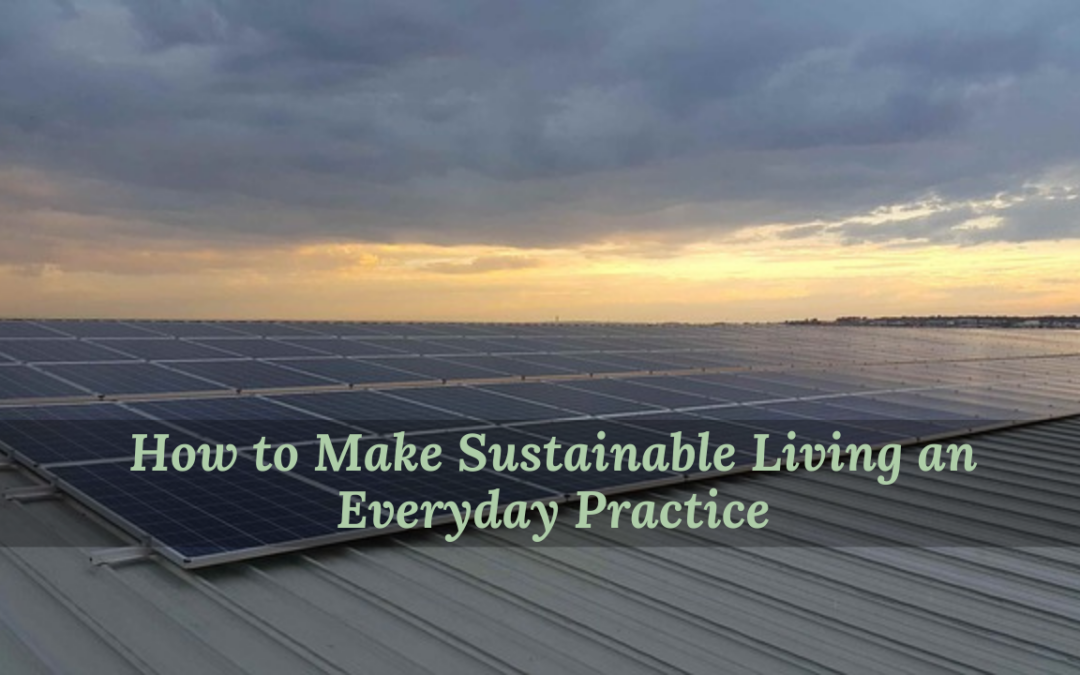 How to Make Sustainable Living an Everyday Practice