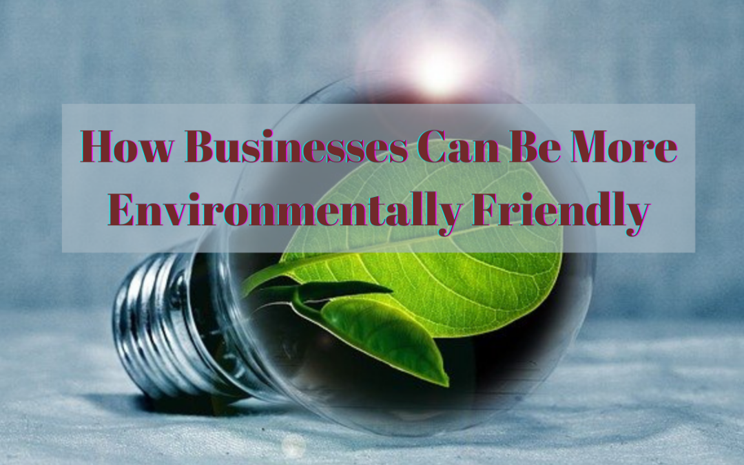 How Businesses Can Be More Environmentally Friendly