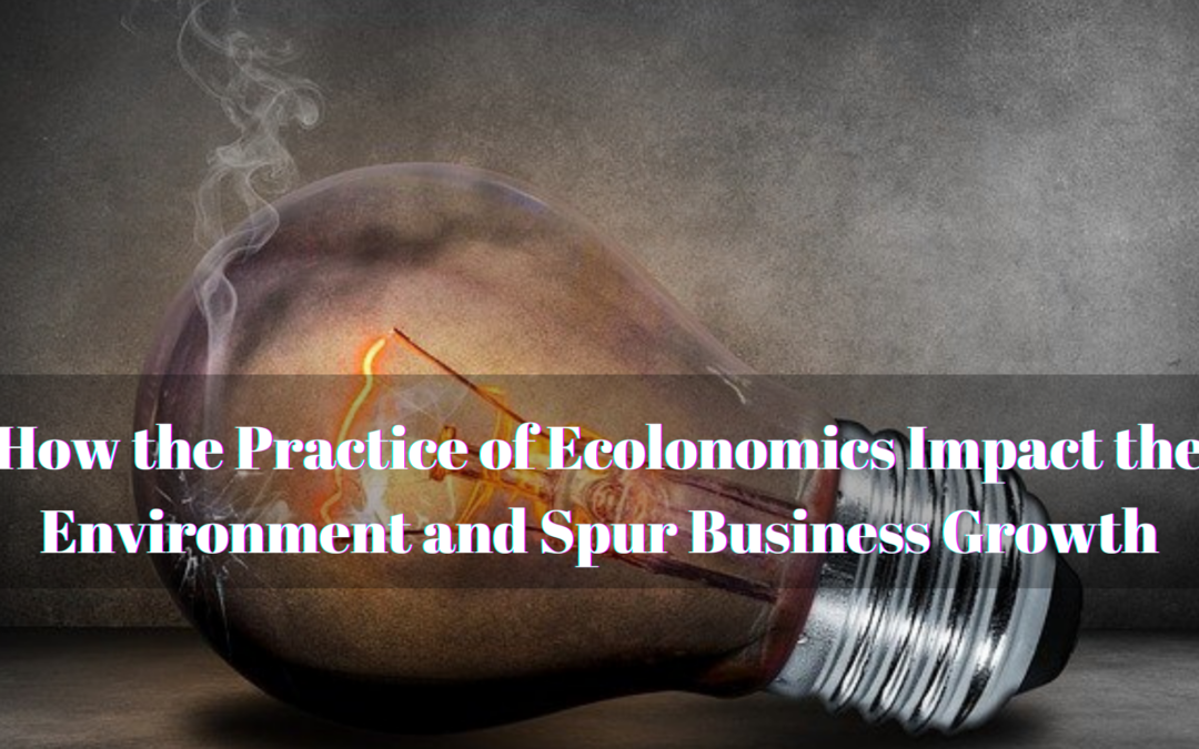 How the Practice of Ecolonomics Impact the Environment and Spur Business Growth