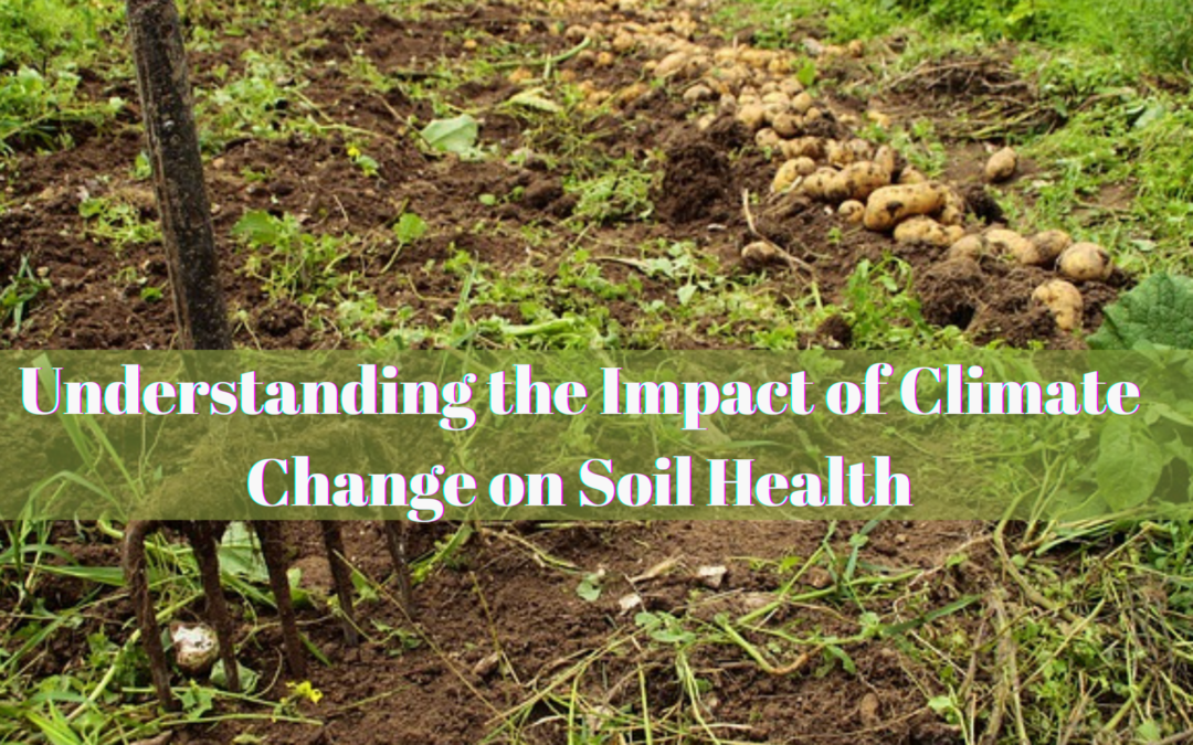 Understanding the Impact of Climate Change on Soil Health