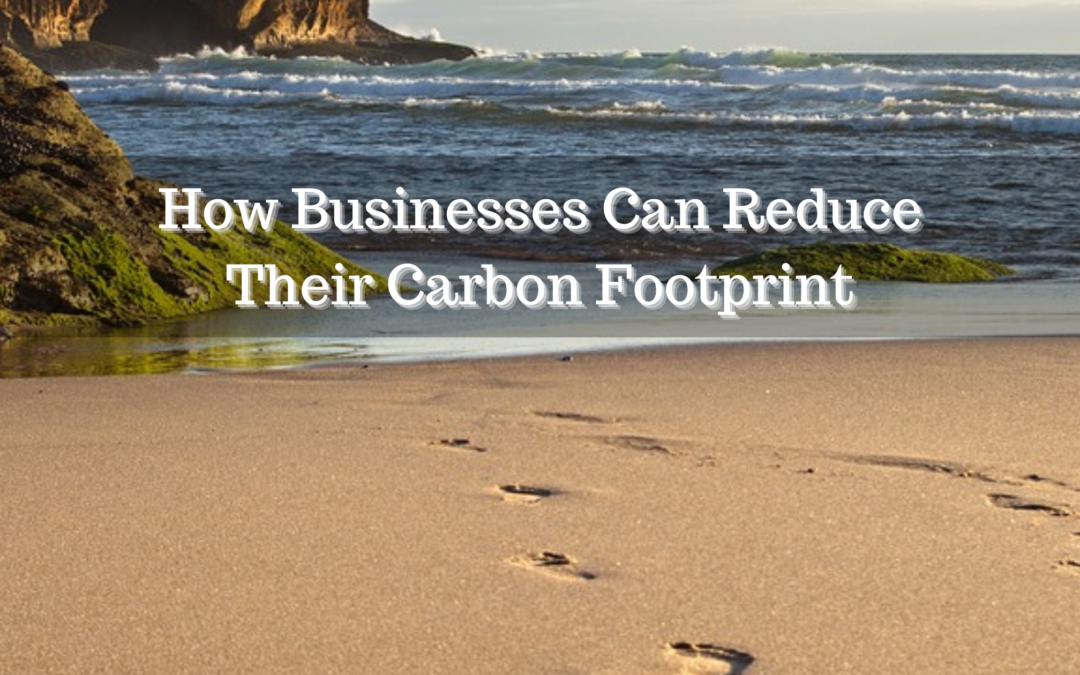 How Businesses Can Reduce Their Carbon Footprint