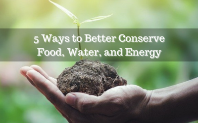 5 Ways to Better Conserve Food, Water, and Energy