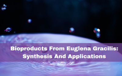 Bioproducts From Euglena Gracilis: Synthesis And Applications