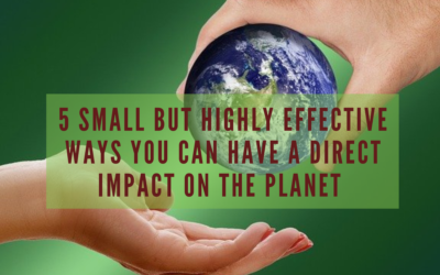 5 Small But Highly Effective Ways You Can Have A Direct Impact On The Planet 