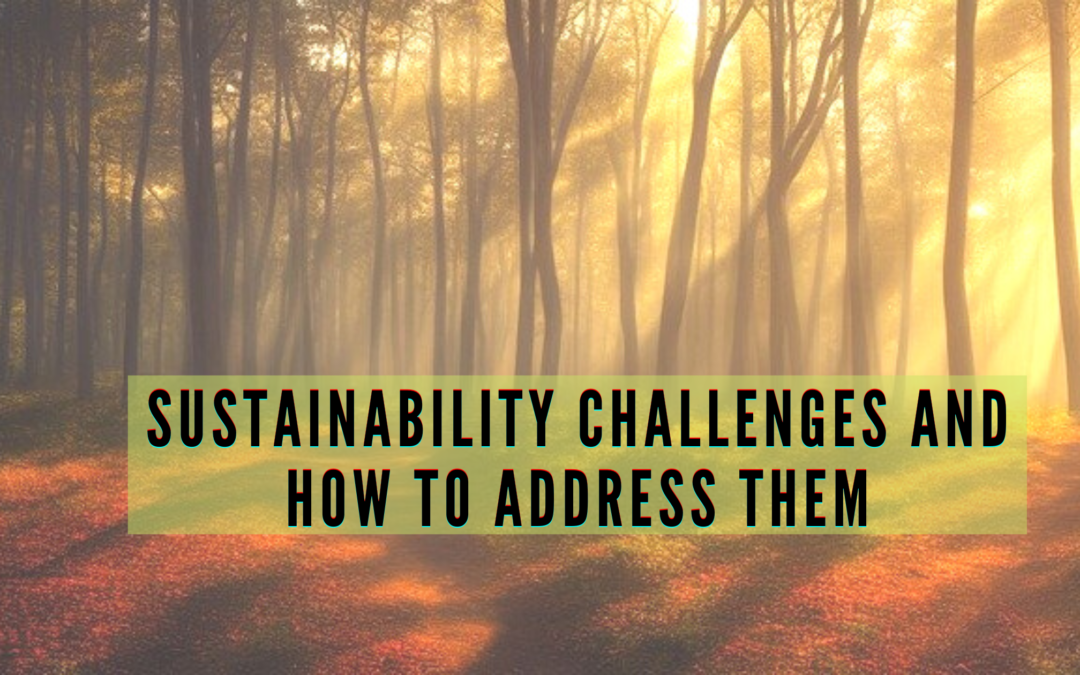 Sustainability Challenges and How to Address Them