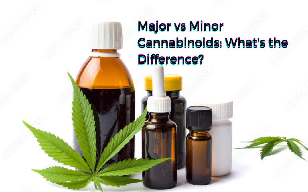 Major vs Minor Cannabinoids: What’s the Difference?