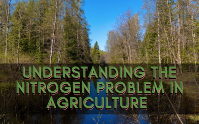 Understanding the Nitrogen Problem in Agriculture 