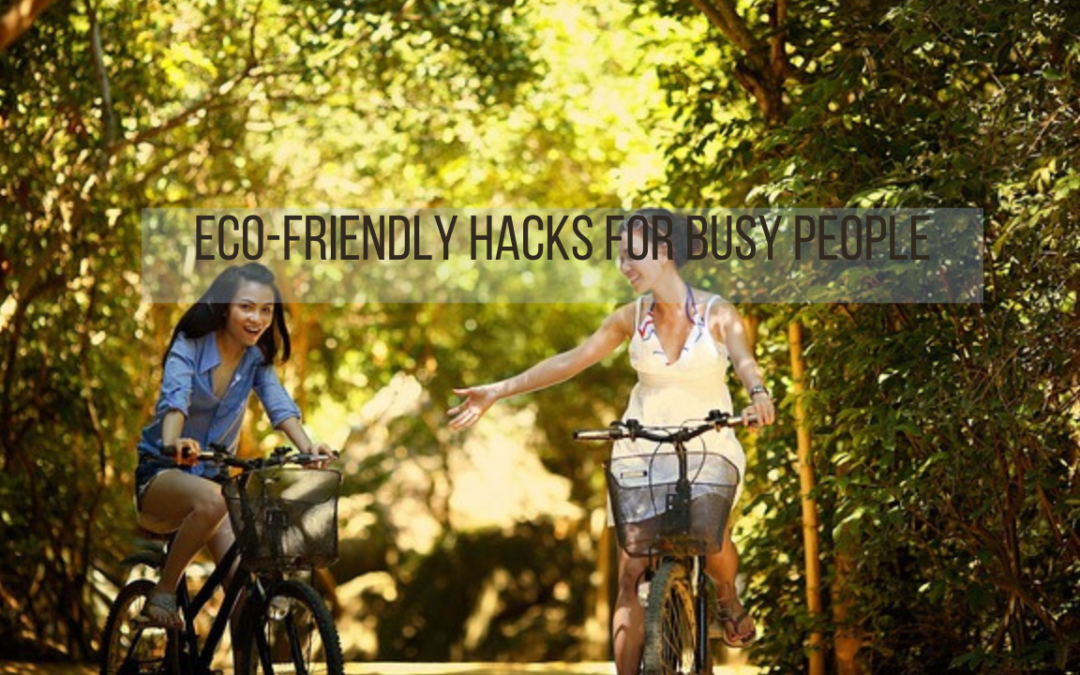 Eco-Friendly Hack