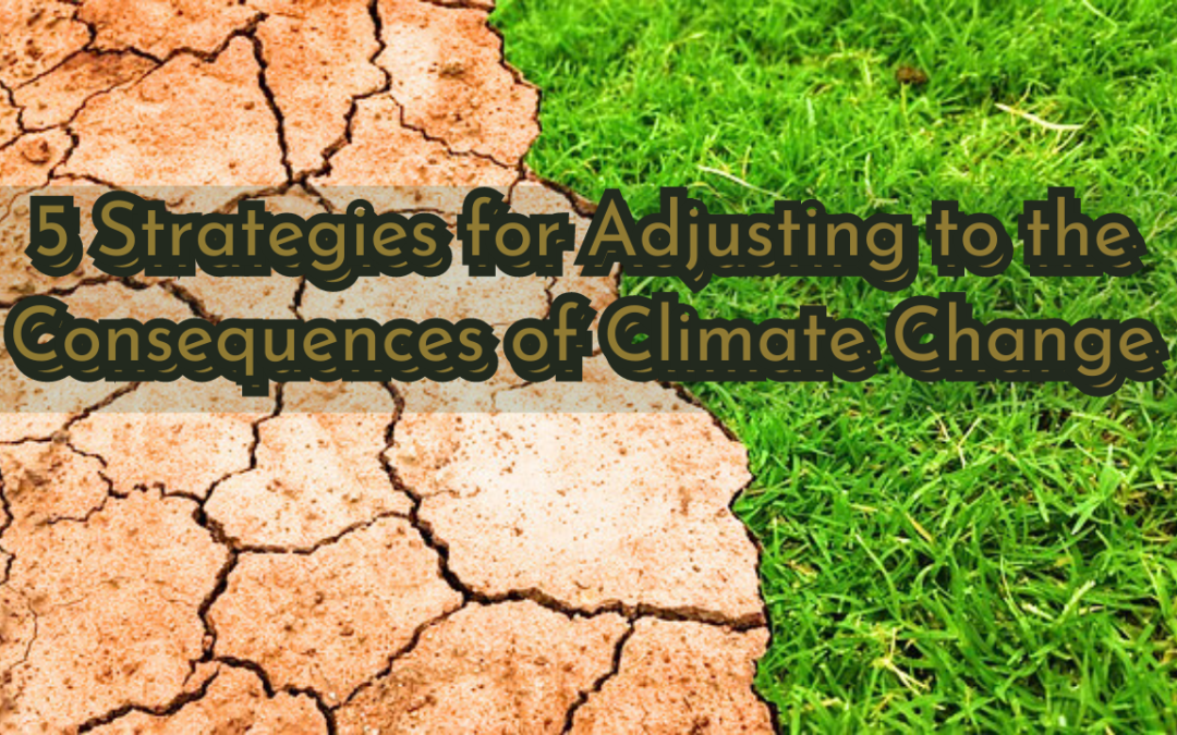 5 Strategies for Adjusting to the Consequences of Climate Change