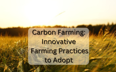 Carbon Farming: Innovative Farming Practices to Adopt