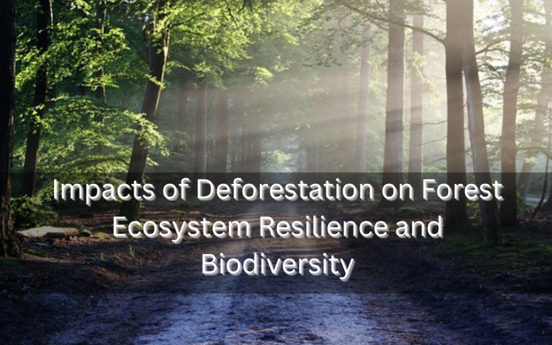 Impacts of Deforestation on Forest Ecosystem Resilience and Biodiversity