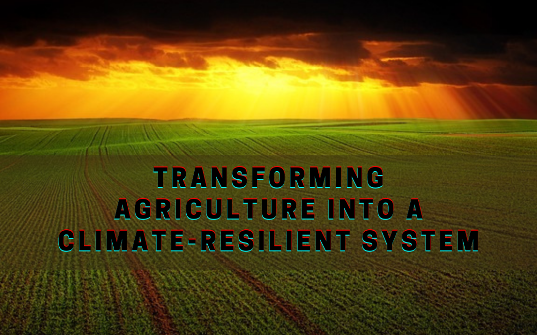 Agroecology: Transforming Agriculture into a Climate-Resilient System