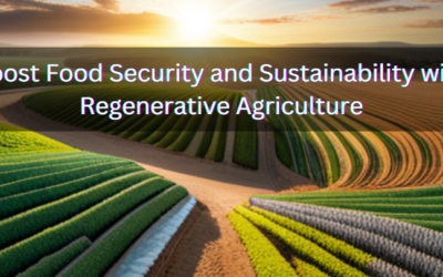 Boost Food Security and Sustainability with Regenerative Agriculture