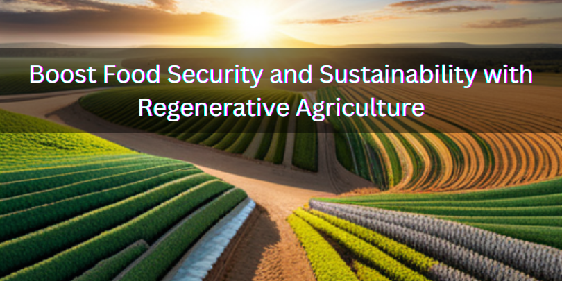 Regenerative Agriculture