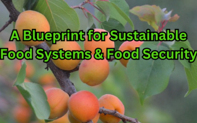 A Blueprint for Sustainable Food Systems & Food Security