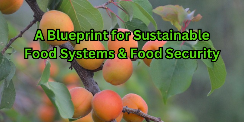 A Blueprint for Sustainable Food Systems & Food Security