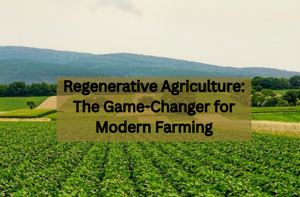 Regenerative Agriculture: The Game-Changer for Modern Farming