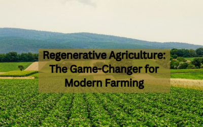 Regenerative Agriculture: The Game-Changer for Modern Farming