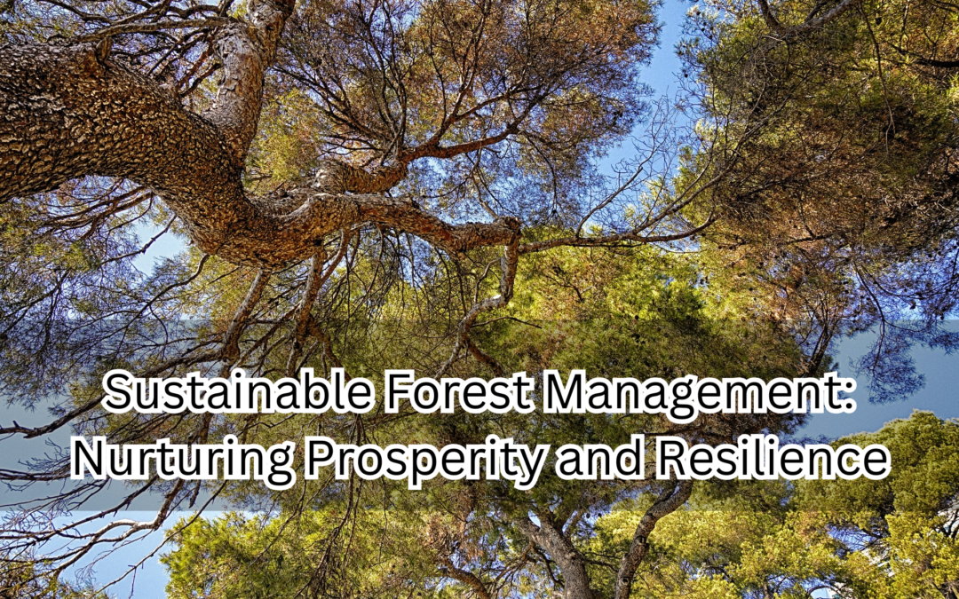 sustainable forest management