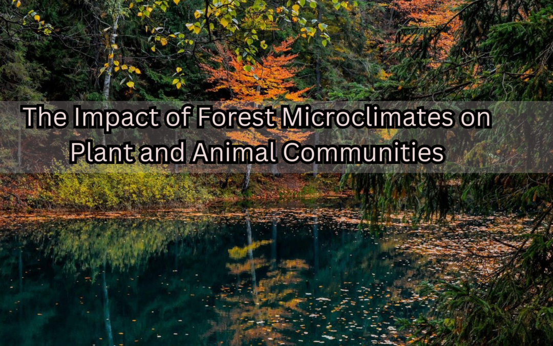 The Impact of Forest Microclimates on Plant and Animal Communities