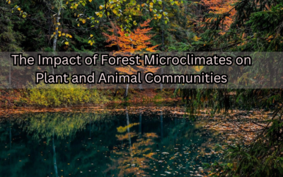 The Impact of Forest Microclimates on Plant and Animal Communities