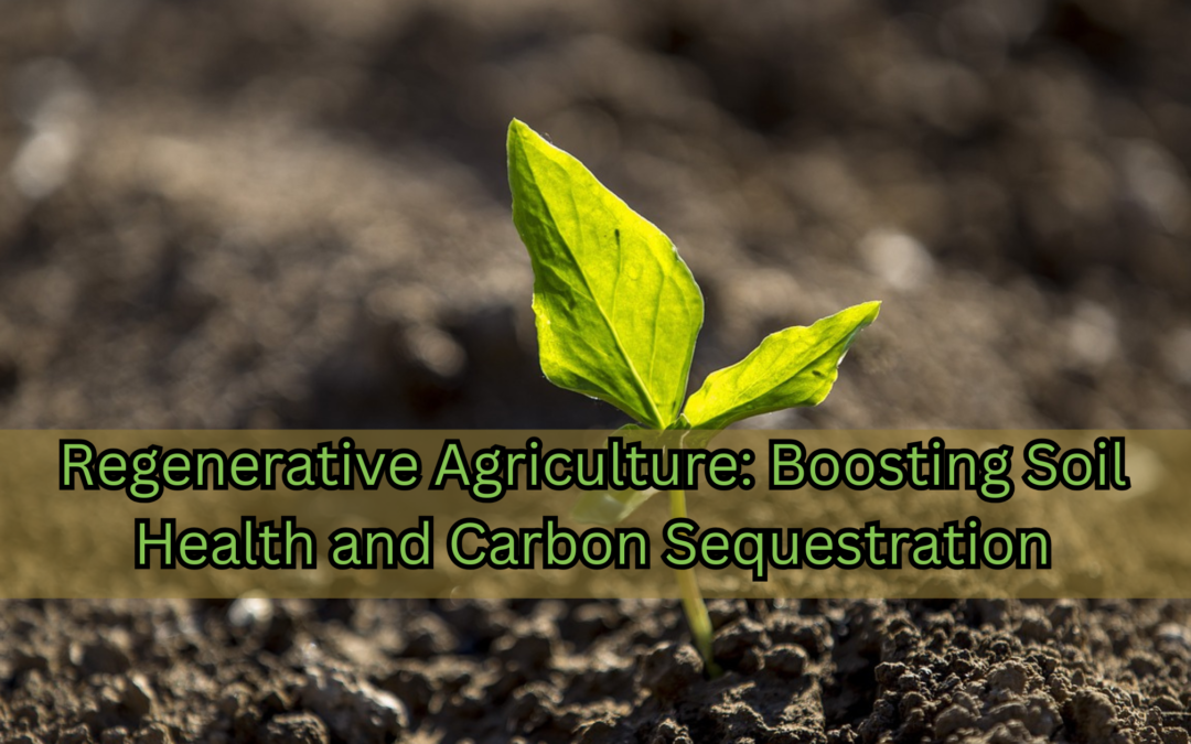 Regenerative Agriculture: Boosting Soil Health and Carbon Sequestration