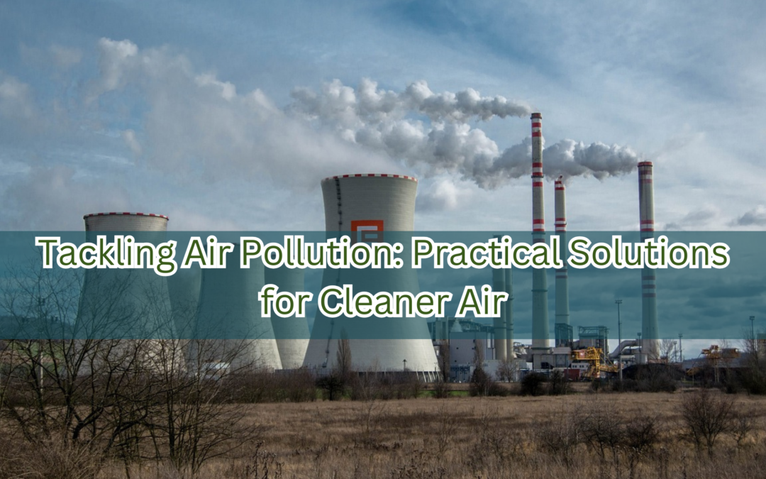 Tackling Air Pollution: Practical Solutions for Cleaner Air