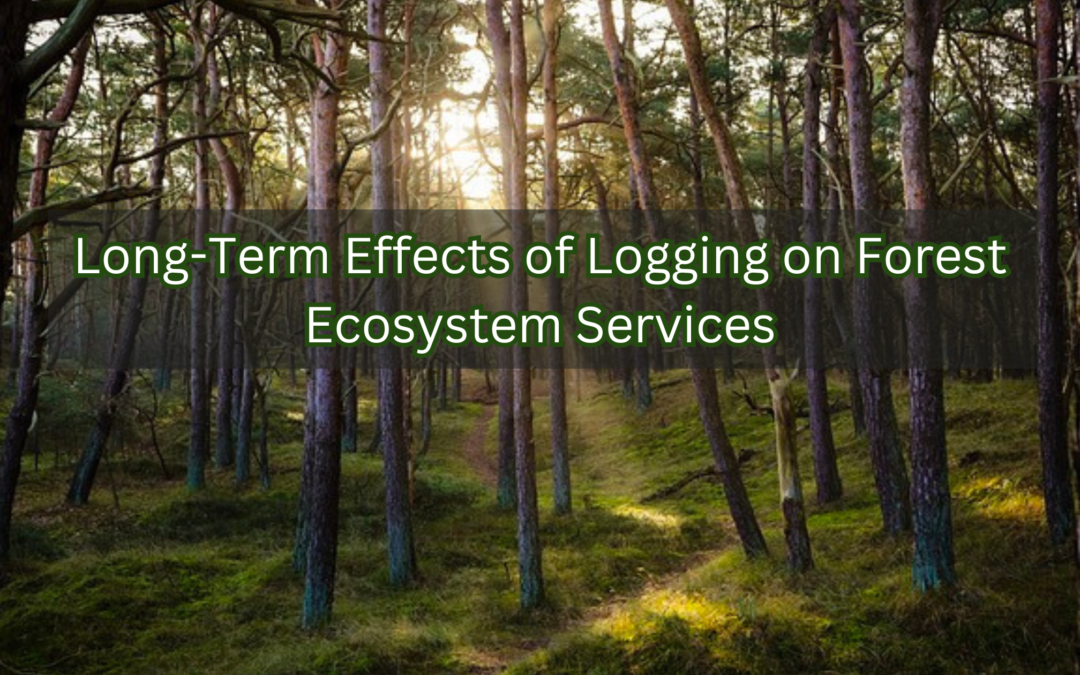 Long-Term Effects of Logging on Forest Ecosystem Services