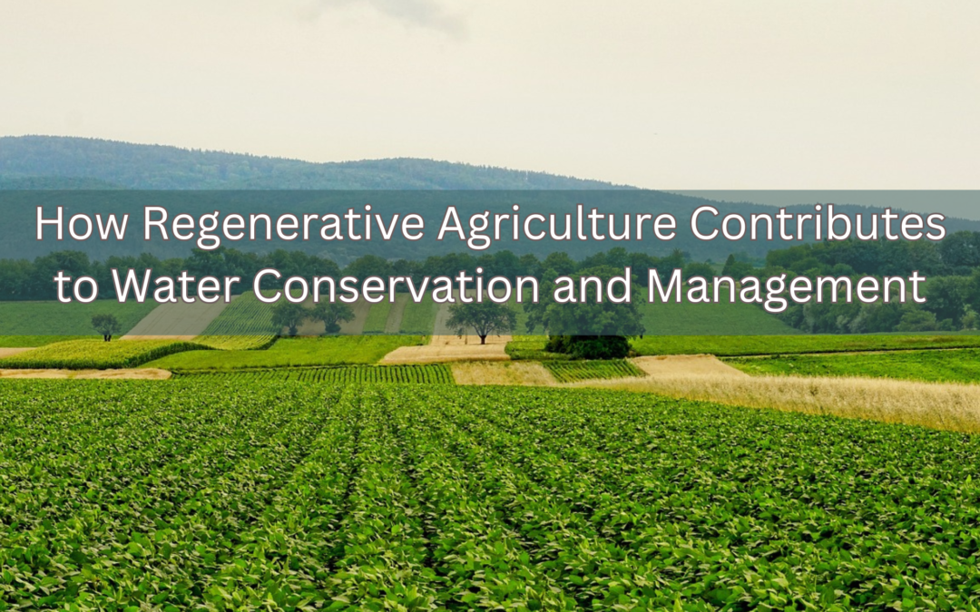 How Regenerative Agriculture Contributes to Water Conservation and Management