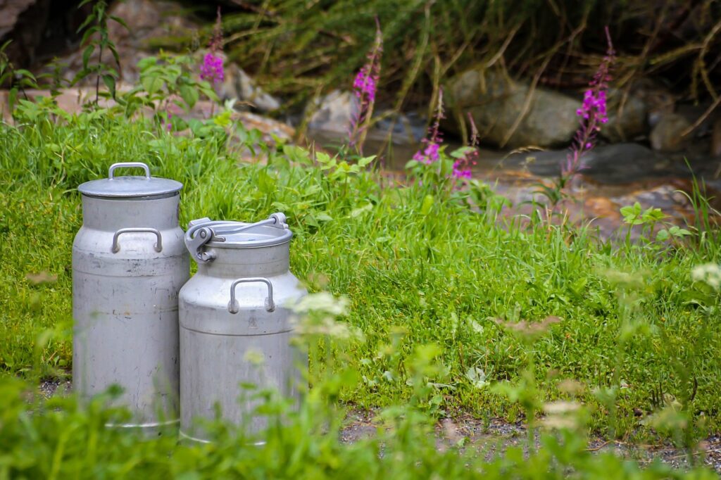 Polyculture Farming
