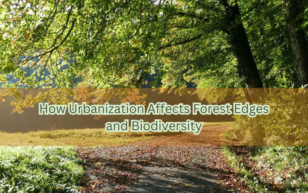 How Urbanization Affects Forest Edges and Biodiversity