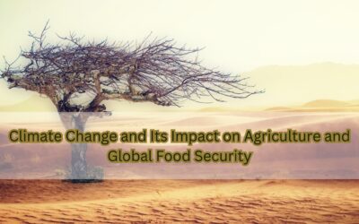 Climate Change and Its Impact on Agriculture and Global Food Security