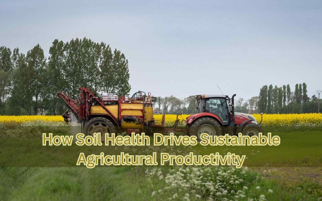 sustainable agriculture