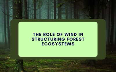 The Role of Wind in Structuring Forest Ecosystems