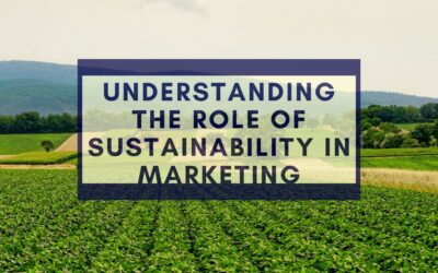 Understanding the Role of Sustainability in Marketing