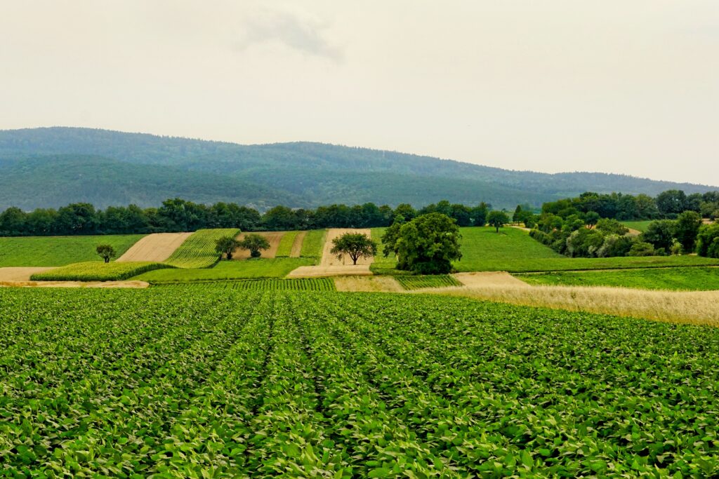 Sustainable farming systems