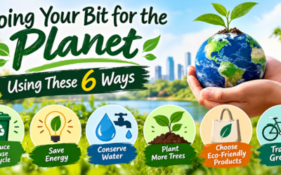 Doing Your Bit for the Planet Using These 6 Ways