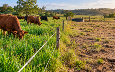 How Regenerative Farming Can Restore Degraded Pastureland